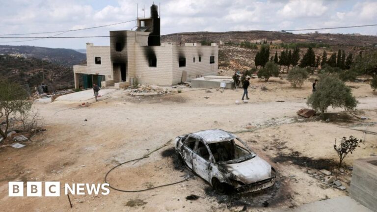 Israeli settlers attack West Bank village and block Palestinian family’s return home